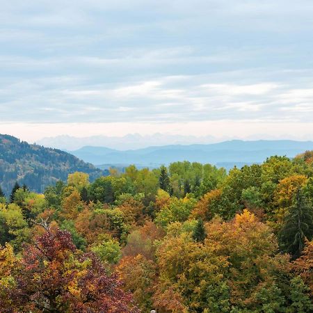 Apartment On The Edge Of The Forest Kleines Wiesental Bagian luar foto