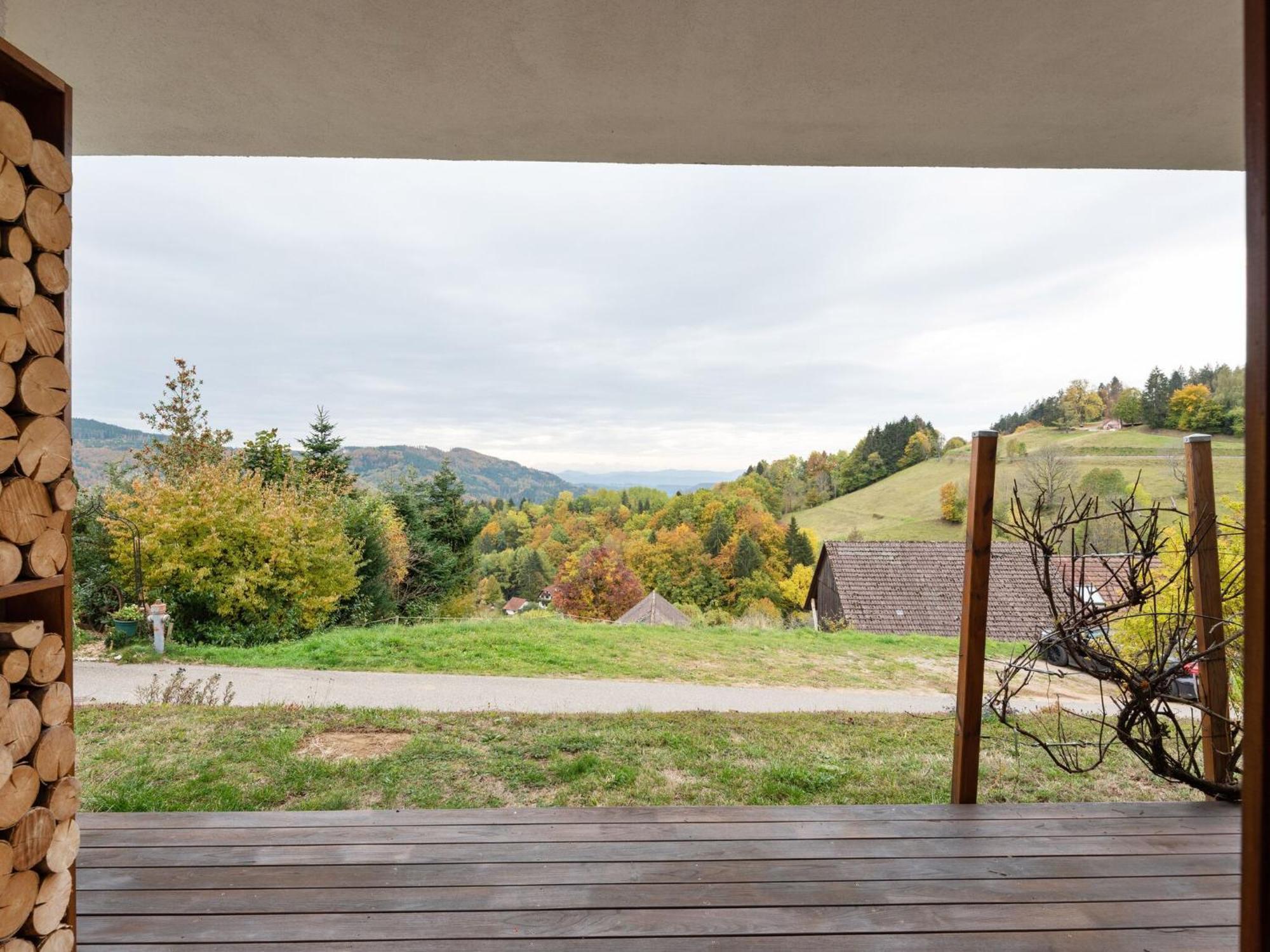 Apartment On The Edge Of The Forest Kleines Wiesental Bagian luar foto